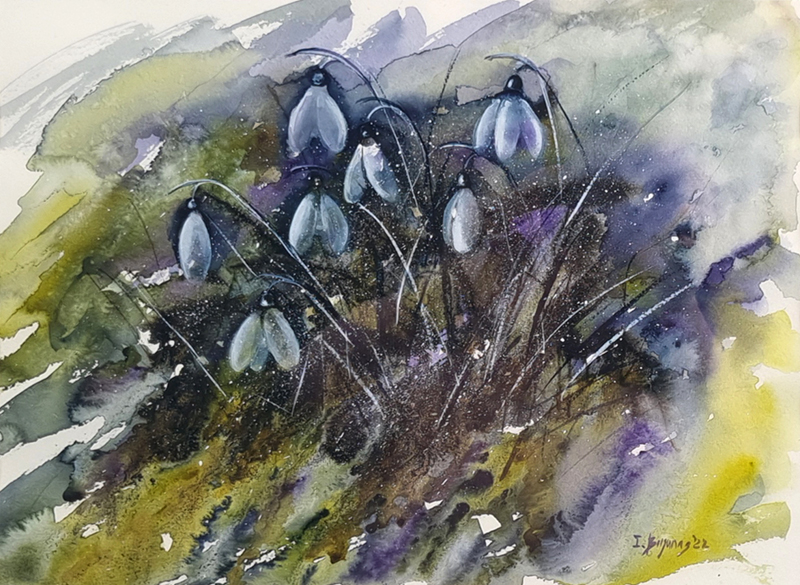 A close-up image of 'Snowdrops', without the frame or mount