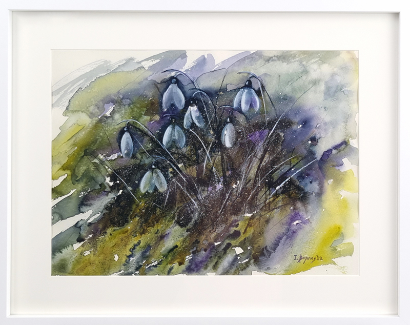 A close-up image of 'Snowdrops', including the frame and mount