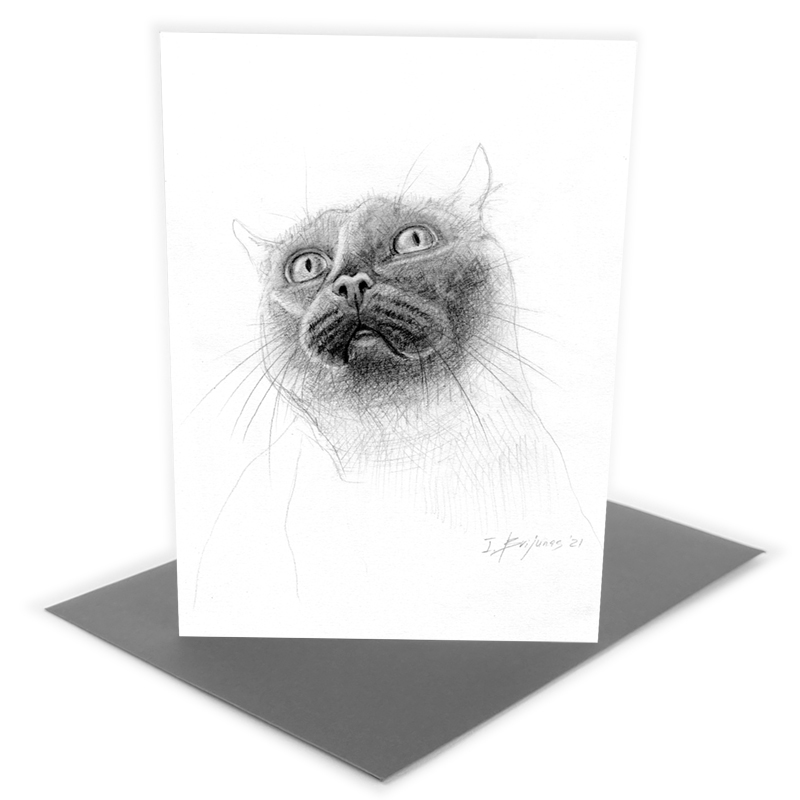 An image of 'Cat in pencil'