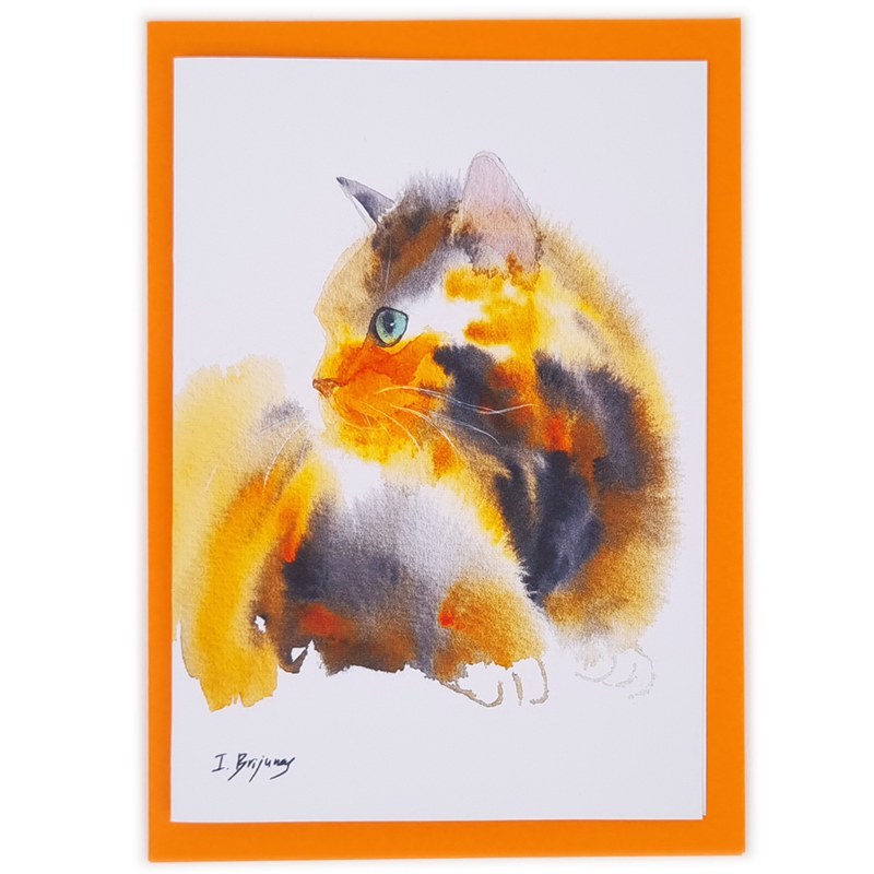An image of 'Tri Coloured Cat'