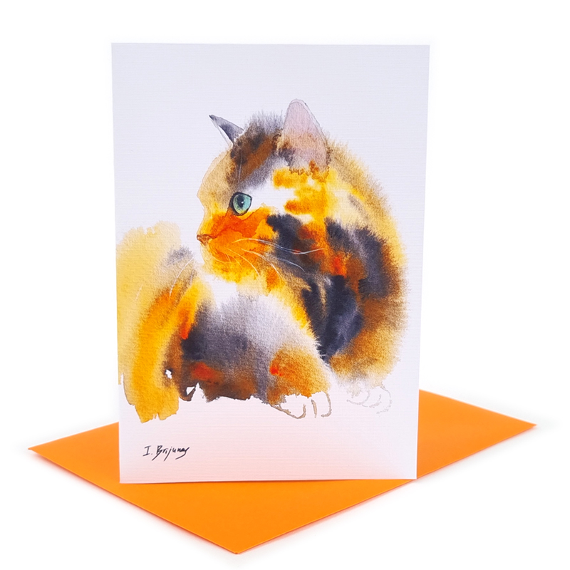 An image of 'Tri Coloured Cat'