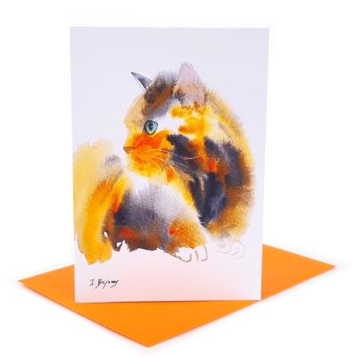 An image of 'Tri Coloured Cat'